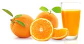 فروش و صادرات کنسانتره پرتقال