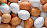 تخم خوراکی غنی شده با امگا 3
